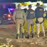 Em apreensão recorde, oito toneladas de maconha são apreendidas em São Caetano