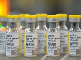 Pernambuco vai oferecer vacina contra a febre amarela para toda a população