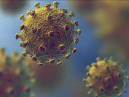 Governo decreta estado de emergência por causa de surto do coronavírus