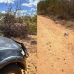 08647df2-79e4-4bd1-b26b-f8dbf591290a-horz