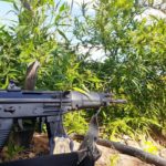 43709c26-8de3-4a1a-a48b-3425c7db1c65