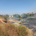 8e1f6065-27c5-4713-9468-2686d186aa83