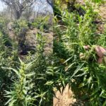 99a937d6-e388-4ee5-95d4-807953550598-horz