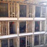 EE940E33-D1FE-4769-9686-03B48C689EE5