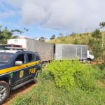 Foto_Caminhões recuperados (2)