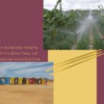 GUIA TURÍSTICO SMBV – 6