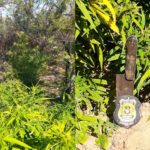 a7b706ed-7bd2-4af9-886a-30b5aa6d1e0d-horz