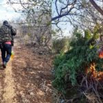 ac7791ba-cce2-42ee-96f3-050c3c401c20-horz