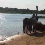 f53ac310-ff36-470b-b351-66c6f99b6036