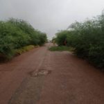 9f122769-21c0-443f-b930-a6585a6a5180