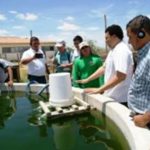FIDA, FAO, ABC e Embrapa Semiárido lançam manual com boas práticas da agricultura familiar para regiões semiáridas