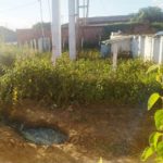 Orocó: Moradores do Projeto Brígida volta a denunciar situação de abandono por parte da prefeitura