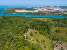 Suape e UFRPE firmam parceria para desenvolvimento de projetos acadêmicos na área ambiental