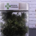 Uso medicinal: Comissão aprova projeto que permite empresas a cultivarem maconha