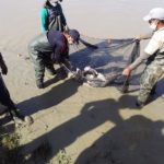 Codevasf fortalece estrutura de suporte à aquicultura e à pesca artesanal