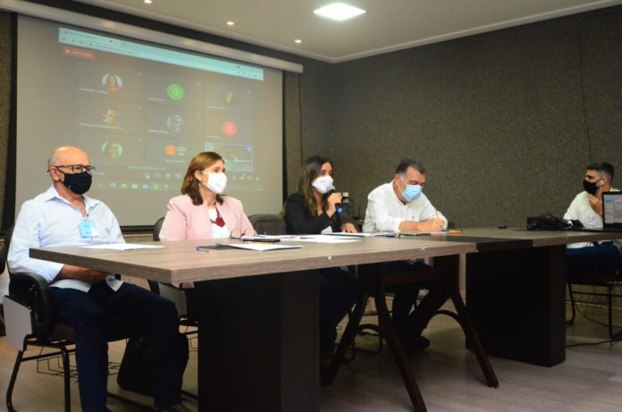 Microrregião Sertão_Flávio Japa