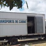 Cidadão flagra caminhão de transportar carne da Prefeitura de Ibimirim carregando cavalos e capim