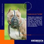 Vereador Hrubesch Jericó apresenta Projeto de Lei que se torna obrigatório o uso de focinheira em cães considerados de raças agressivas