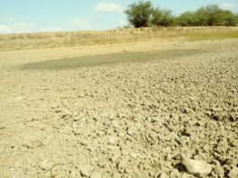 Belém do São Francisco: Joselito Nogueira denuncia falta de compromisso das autoridades no enfrentamento a seca no município