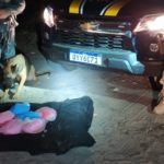 PRF e BIEsp apreendem 6,4 kg de crack dentro de tanque de carro em Juazeiro