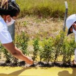 Paisagismo de Olinda conta com o trabalho de mulheres reeducandas