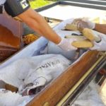Defunto doidão: Polícia apreende quase 120 tabletes de droga dentro de caixão em carro de funerária