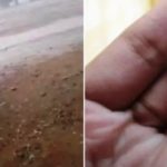 Chuva de granizo chama atenção de moradores de Macururé-BA