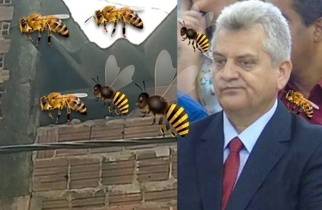 Vilmar Cappellaro