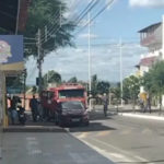Homem de 70 anos morre após sofrer picadas de abelhas em Paulo Afonso