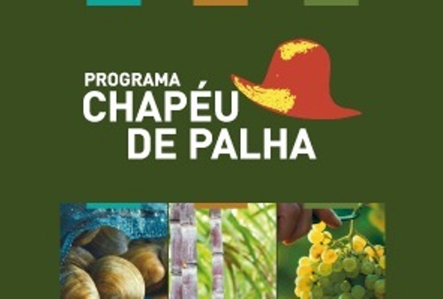 chapeu-de-palha
