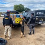 Polícia apreende drogas e contrabando avaliados em mais de 2,8 milhões em Petrolina