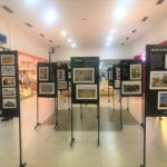 Embrapa Semiárido lança exposição fotográfica em celebração à Semana do Meio Ambiente