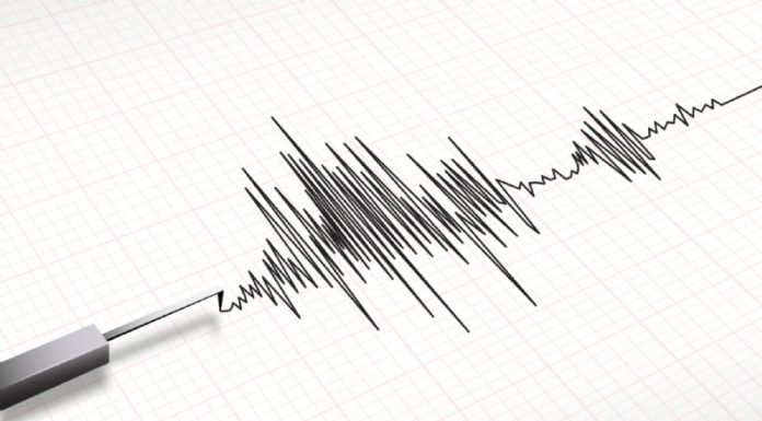 Defesa Civil de Petrolina identifica tremor de terra na região