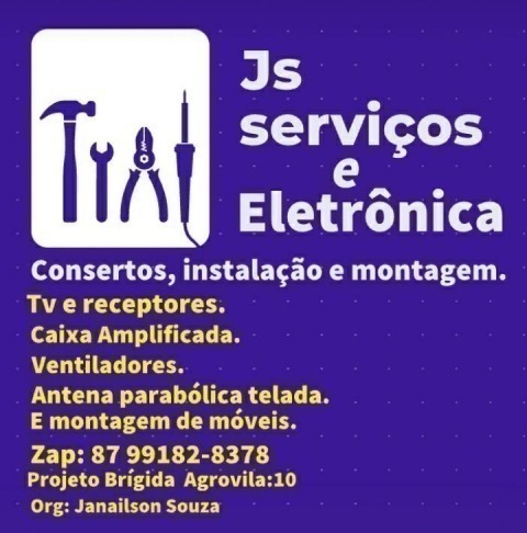 Eletronica Projeto Brigida