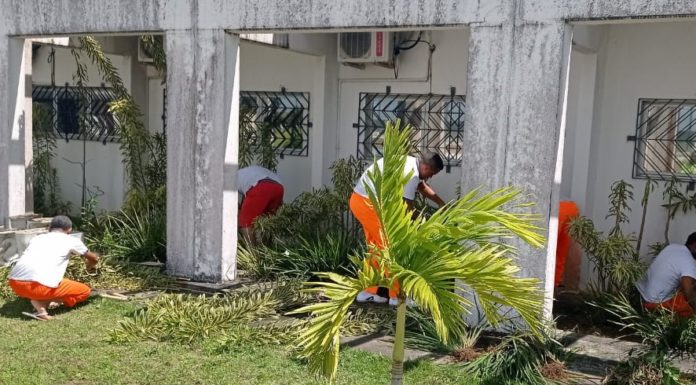 Curso de jardinagem capacita reeducandos do Presídio de Itaquitinga