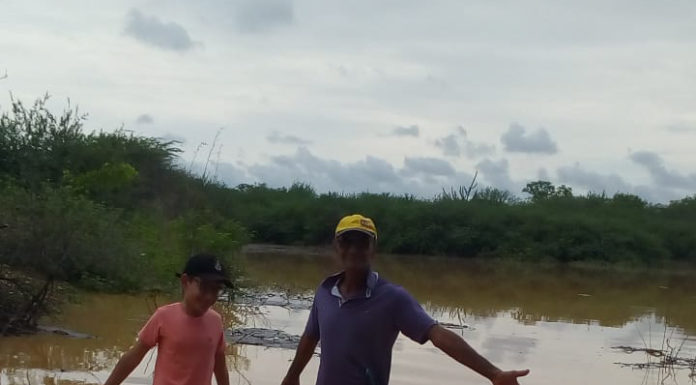 Chuvas alegram agricultores familiares da área de sequeiro de Petrolina