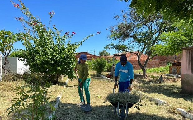 Zona rural priorizada: Prefeitura garante limpeza de vilas e tapa-buraco emergencial em área irrigada