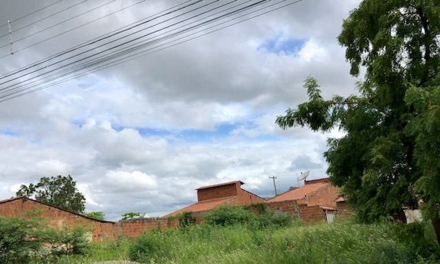 Cabrobó: Moradores do Bairro Maria Luiza cobram de proprietários a limpeza de terrenos baldios