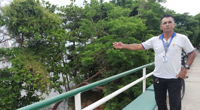 Nível do Rio São Francisco em Juazeiro e Petrolina já é alto; tendência é de mais elevação nos próximos dias