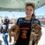 Vereador Wenderson Batista lamenta que emenda sobre a causa animal, do deputado Romerto Albuquerque tenha sido prejudicada