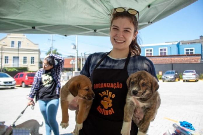 WhatsApp Image 2023-01-19 at 17.03.22