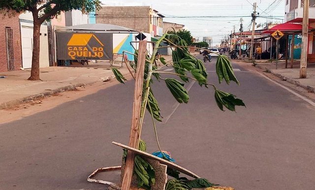 Petrolina: Moradores sinalizam buraco na Avenida Nordeste com planta para evitar acidentes