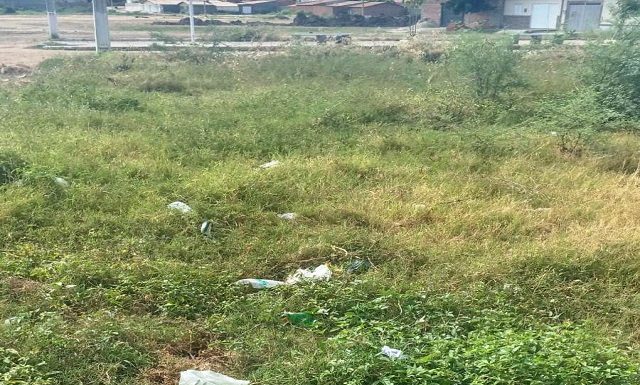 Cabrobó: Moradora pede que proprietário proceda com limpeza de terreno