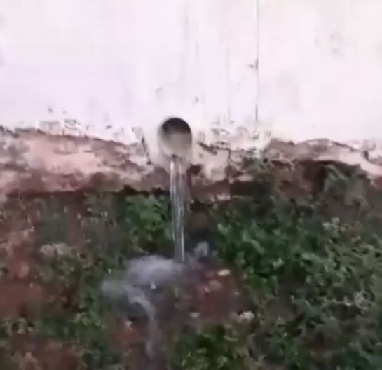 WhatsApp Image 2023-02-08 at 08.13.13