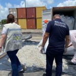 Receita apreende, no Porto de Suape, carga de 15 toneladas de lixo hospitalar vinda de Portugal
