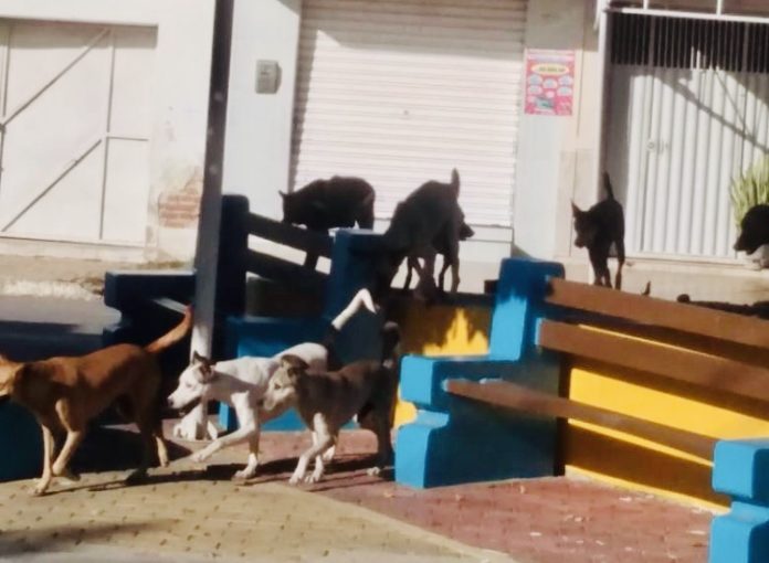 AC8EB473-73E6-4855-8580-A927BCE52FE9