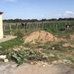 Moradores da Rua Quirino do Nascimento em Orocó pedem providências por parte da Prefeitura