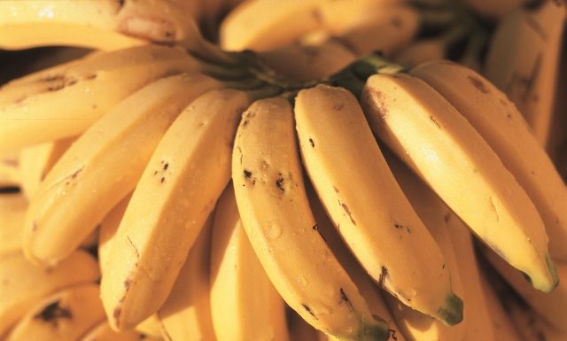 Projetos de irrigação da Codevasf alcançam R$ 4,57 bilhões em valor bruto de produção em 2022