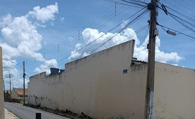 Morador pede que animais sejam retirados da Rua 3 no Bairro Cohab em Cabrobó