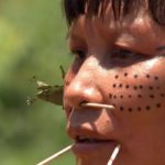 Força-tarefa inutiliza 272 acampamentos de garimpo na Terra Yanomami